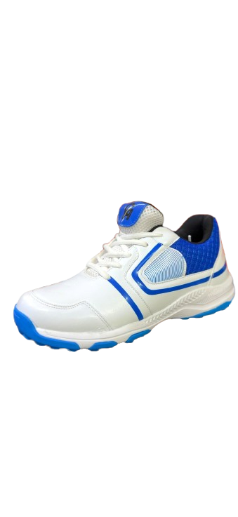 CA Pro 40 Shoes